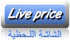 الشاشة اللحظية