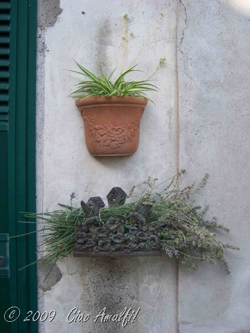 [Ciao Amalfi Coast Blog Lavender 2009[9].jpg]