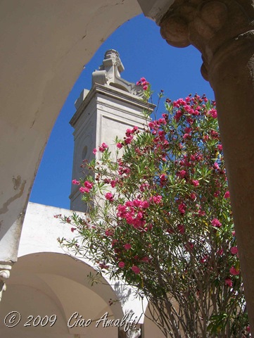 [CiaoAmalfiCoastBlogPinkCertosaCapri7.jpg]