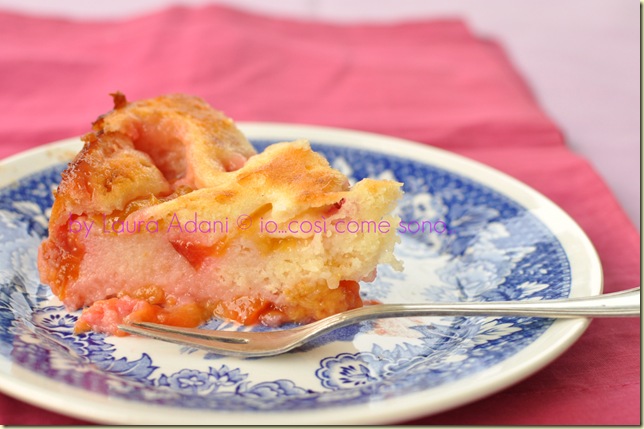 torta alle susine rosse di Csaba1 torta alle susine rosse di Csaba1