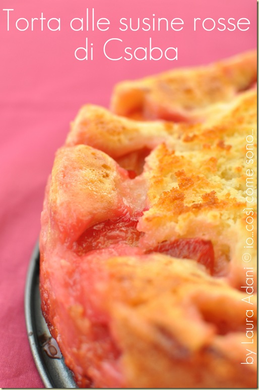 torta alle susine rosse di Csaba2 torta alle susine rosse di Csaba2
