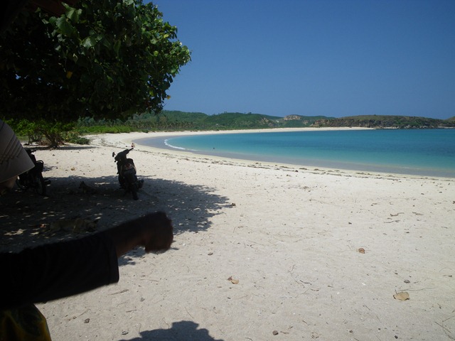 [IMGP39842.jpg]