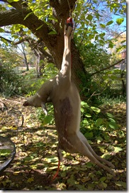 CRW_6454.CRW