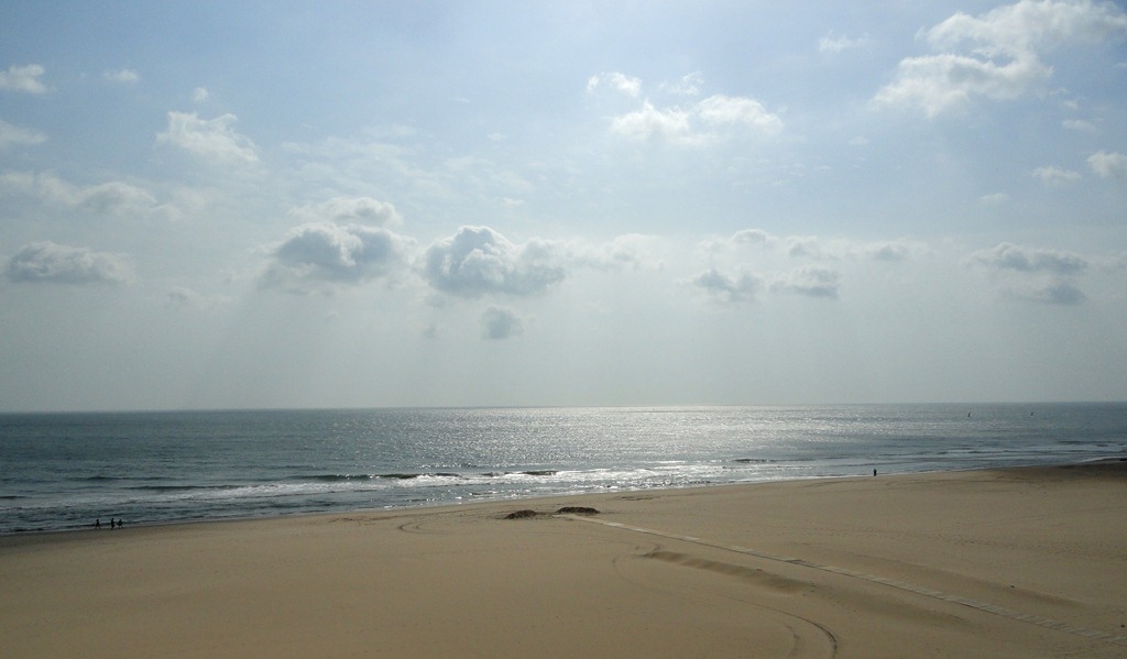 [virginia beach 2011 011[4].jpg]