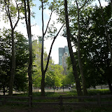 P1010239.JPG