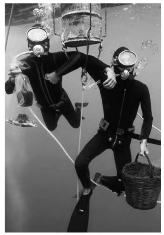 The divers pictured here have ascended from a sunken ship and have stopped at the 10-ft (3-m) decompression level to avoid getting decompression sickness, better known as the "bends." 