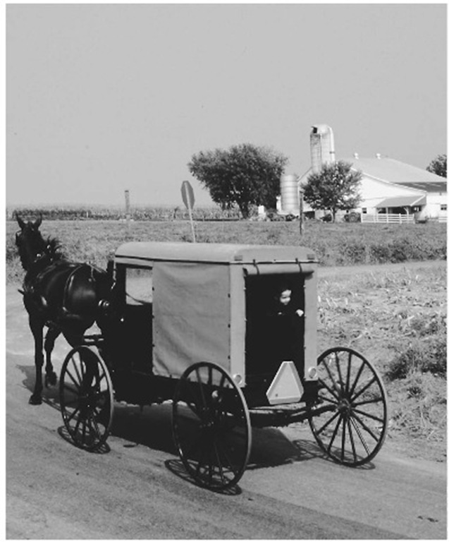 Recreated Amish farms can be toured in the countryside surrounding Lancaster.