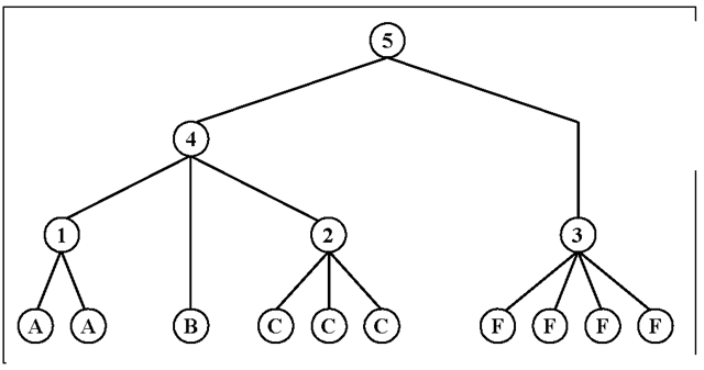 Hierarchic scheme of clusters