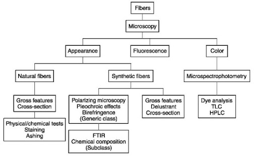 Fiber Burn Test Flow Chart