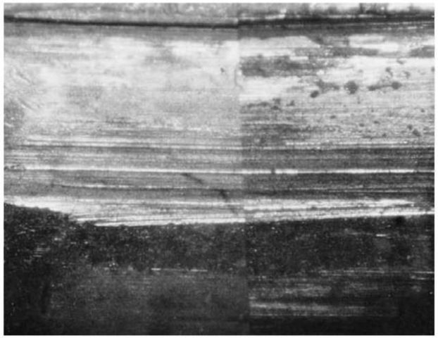 Matching striation patterns in the land impressions of two bullets fired in the same weapon.