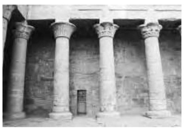 The massive temple columns, supports used at a shrine of Horus, displaying different capital designs and architectural innovations. 