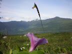 V-Reserve Tour: Book You Into Vietnam Slideshow