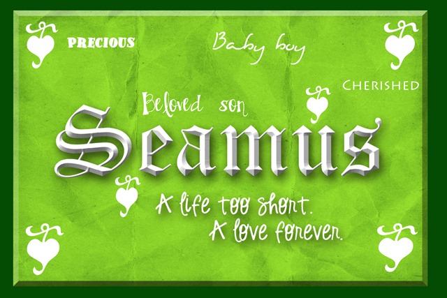 [seamus[3].jpg]