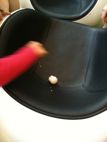 [IMG_0133[3].jpg]