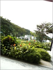IMG_0546