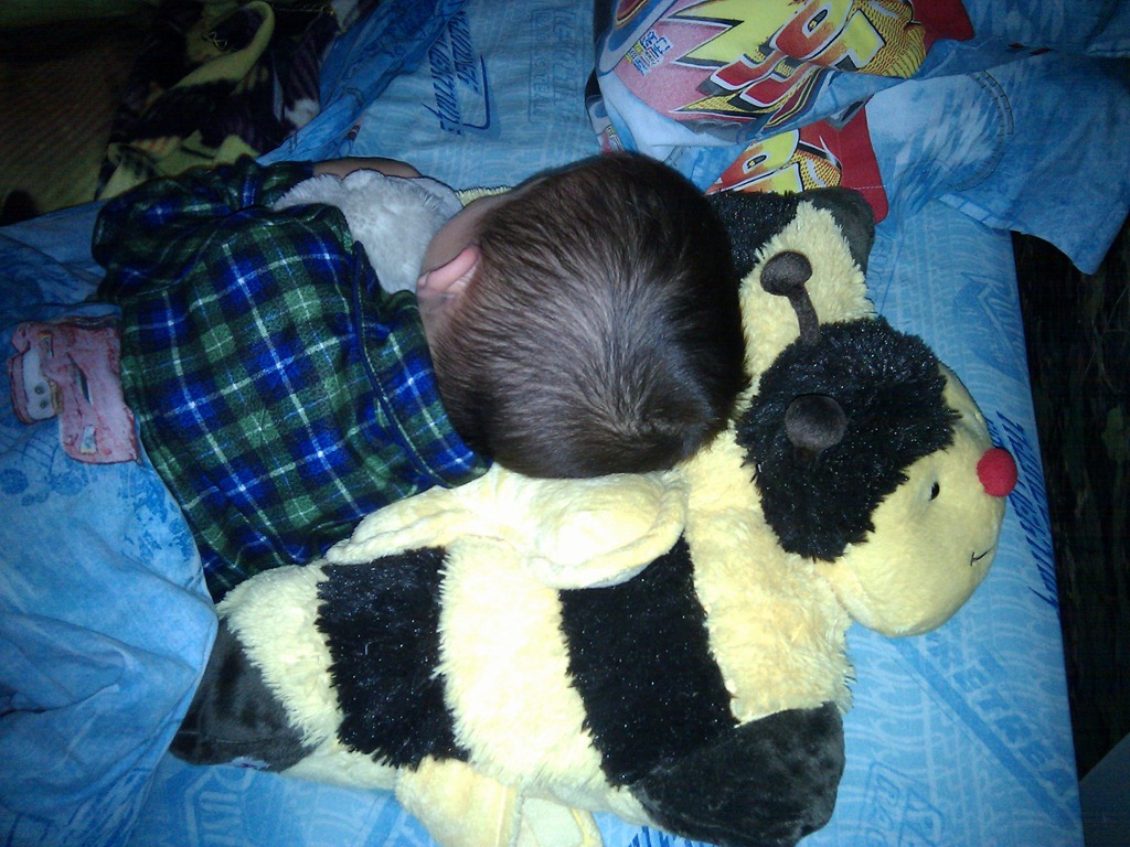 [12-27-2010 pillow pet from aunt Jo[7].jpg]