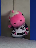 パオロン パオロン