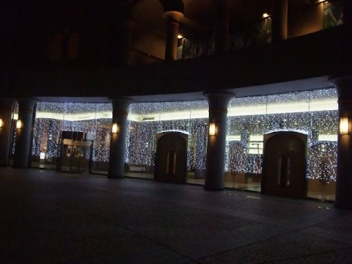 pao_20091121_05.jpg