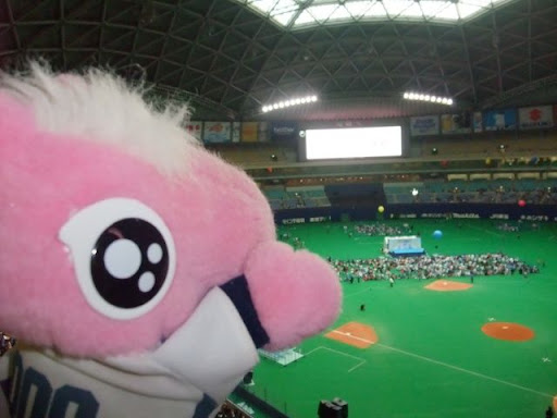 pao_20091128_01.JPG