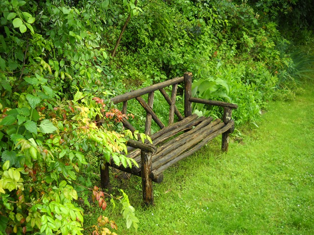 [DSCN20795.jpg]