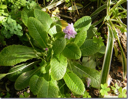 DSCN2635 DSCN2635