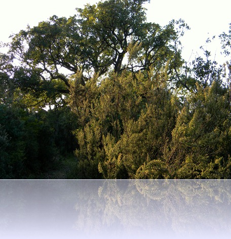 DSCN3446 DSCN3446