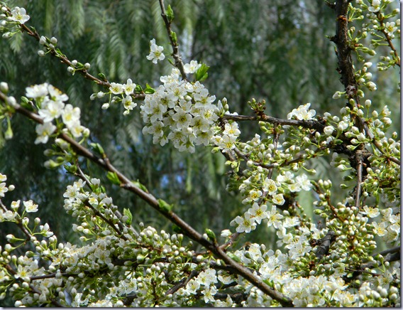 DSCN4612 DSCN4612