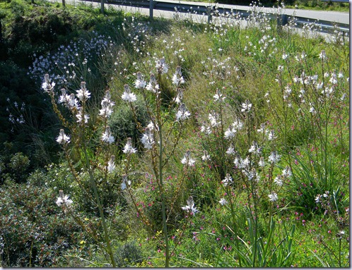DSCN4748 DSCN4748