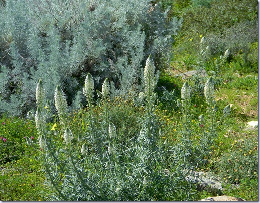 DSCN4779 DSCN4779