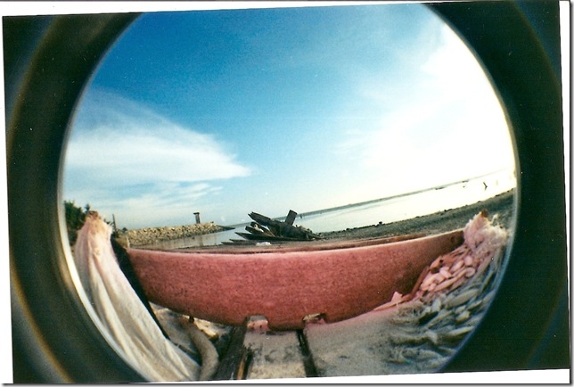 scan0019