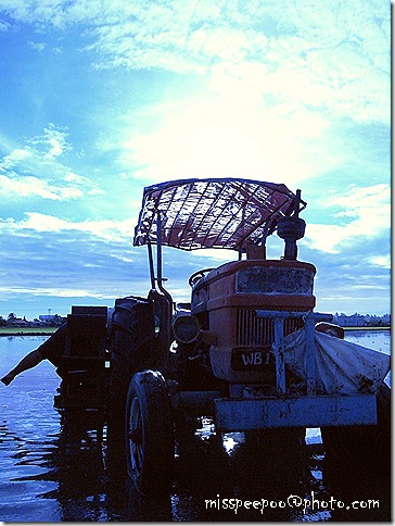R0010125