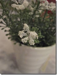 R0010308