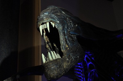 Alien Missing inner jaw resize