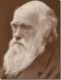 Darwin1874s