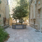 Garden Apartment for Rent in Talbiya - Jerusalem