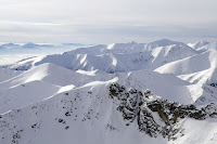 _MG_4983.jpg
