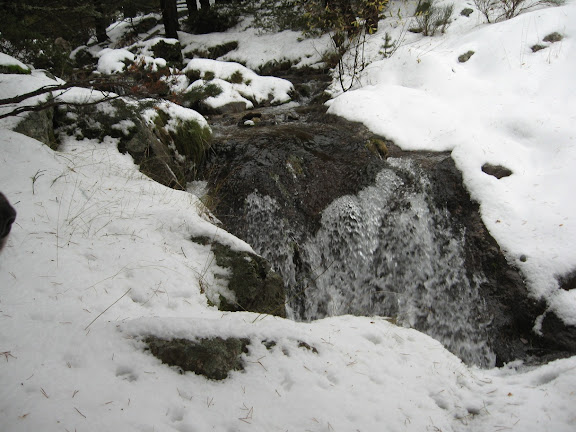 Arroyo Guarramillas