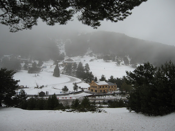Puerto de los Cotos