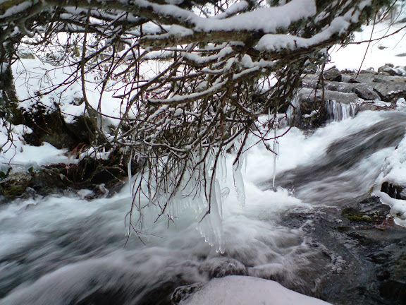 Nieve, Agua y Hielo