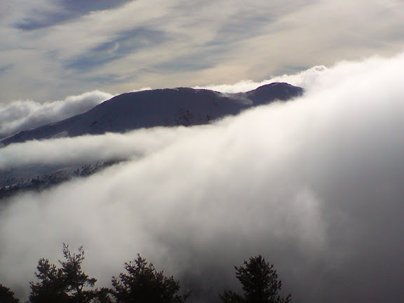 Contraluz y niebla (Cabezas de Hierro)