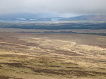 SV400084.JPG