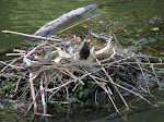 IMG_2863.JPG