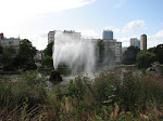 IMG_3203.JPG
