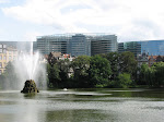 IMG_3222.JPG