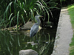 IMG_3349.JPG