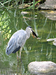 IMG_3410.JPG