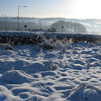 Snowy Walk