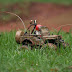 vrc078Large.jpg