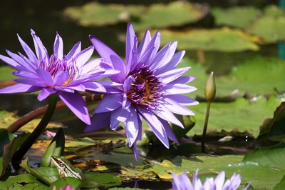 [IMG_6978_resize4.jpg]