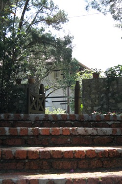 [IMG_6869_resize5.jpg]